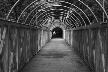 Obraz premium camino