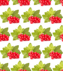 Red currants isolated on white background cutout.Creative layout, fruit seamless pattern.