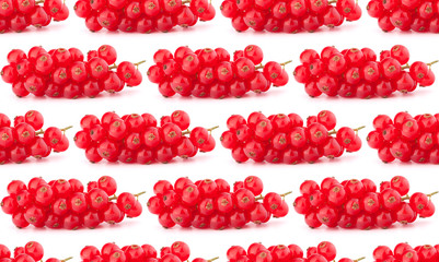 Red currants isolated on white background cutout.Creative layout, fruit seamless pattern.
