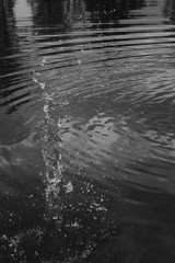 splash