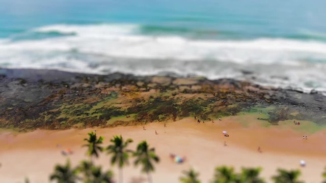 Tilt shift shot from tropical beach, with blue water, coconut trees and people walking. Villas do Atlantico, Bahia, Brazil. Drone slowly moving upwards. 