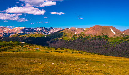 Sunlight On The Range