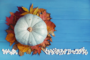 Pumpkin and colorful autumn leaves and pumpkin seeds on blue wooden table. Fall, Thanksgiving, Halloween background. Horizontal, copy space