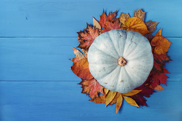 Pumpkin and colorful autumn leaves on blue wood. Fall, Thanksgiving, Halloween background. Horizontal, copy space