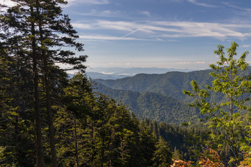 View from Alum Cave Trail of the Great Smoky Mountains National Park, Tennessee, USA