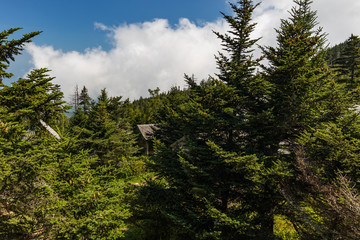 Fototapeta premium LeConte Lodge, Great Smoky Mountains National Park