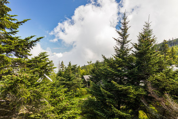 Fototapeta premium Rooftops of LeConte Lodge, Great Smoky Mountain National Park
