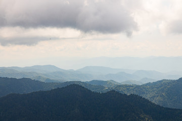 Obraz na płótnie Canvas Great Smoky Mountains National Park, Tennessee, USA