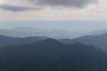 Great Smoky Mountains National Park, Tennessee, USA