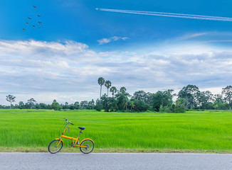 Green paddy rice field, the road, bicycle, the beautiful sky and cloud in Thailand.