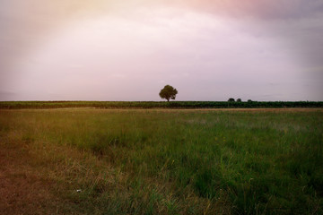 Naklejka premium Landscape shot in the national park Neusiedler See in Illmitz Burgenland