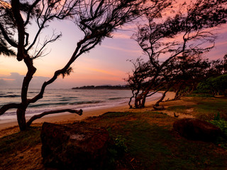 coucher de soleil très coloré sur une plage tropicale