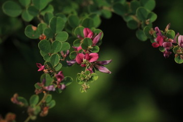 feel nature