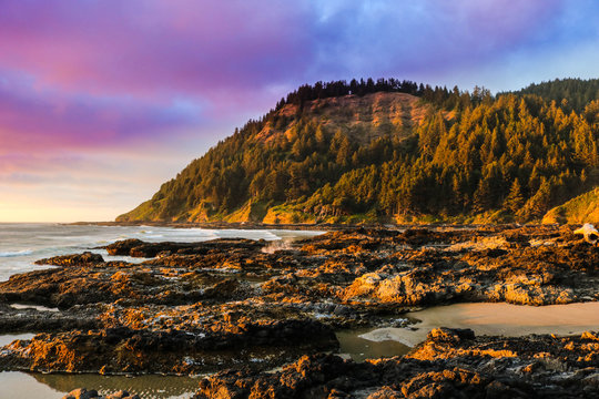 Cape Perpetua