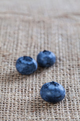 The blueberries placed on brown sacks, taken in a studio