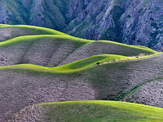 sunset time of human grassland in xinjiang