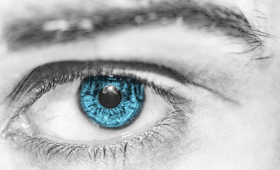 Fototapeta premium colourful eye macro photography