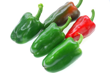 Fresh picked pepper in green and red color