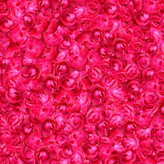 abstract background of roses