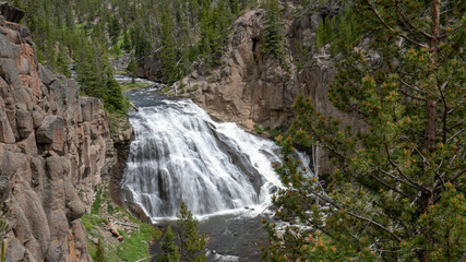 Gibbon Falls, Yellowstone National Park. Gibbon Falls is a 84ft waterfall whose width and raked descent made it appear larger.