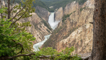 Lower Yellowstone Falls, Yellowstone National Park.