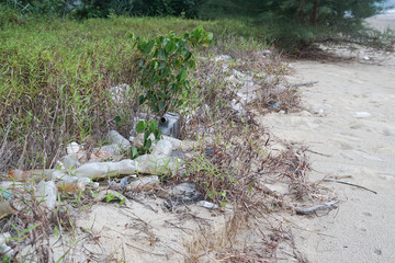 Lok Kawi, Kota Kinabalu, Sabah, Malaysia - September 08, 2019: There is a lot of rubbish left in Lok Kawi Beach. This rubbish are dumped into the sea and washed away to this beach.