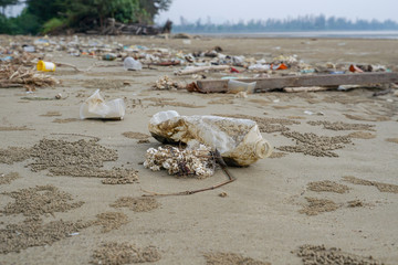 Lok Kawi, Kota Kinabalu, Sabah, Malaysia - September 08, 2019: There is a lot of rubbish left in Lok Kawi Beach. This rubbish are dumped into the sea and washed away to this beach.