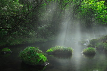 夏の元滝伏流水