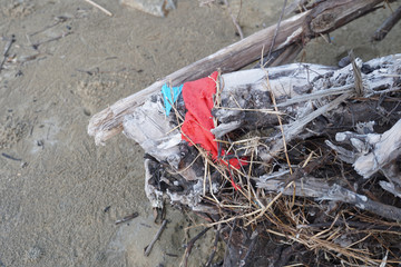 Lok Kawi, Kota Kinabalu, Sabah, Malaysia - September 08, 2019: There is a lot of rubbish left in Lok Kawi Beach. This rubbish are dumped into the sea and washed away to this beach.