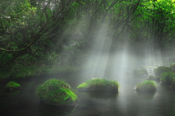 夏の元滝伏流水