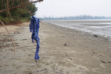 Lok Kawi, Kota Kinabalu, Sabah, Malaysia - September 08, 2019: There is a lot of rubbish left in Lok Kawi Beach. This rubbish are dumped into the sea and washed away to this beach.