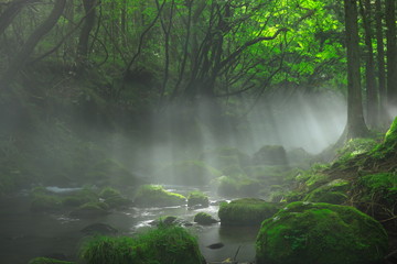 夏の元滝伏流水