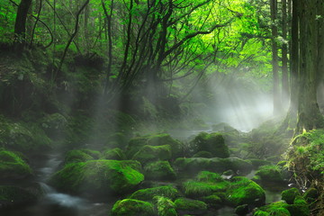 夏の元滝伏流水