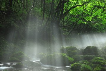 夏の元滝伏流水