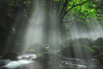 夏の元滝伏流水