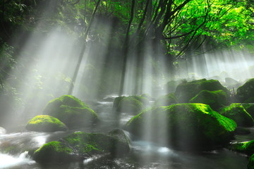 夏の元滝伏流水
