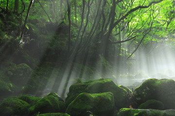 夏の元滝伏流水