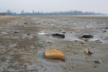 Lok Kawi, Kota Kinabalu, Sabah, Malaysia - September 08, 2019: There is a lot of rubbish left in Lok Kawi Beach. This rubbish are dumped into the sea and washed away to this beach.