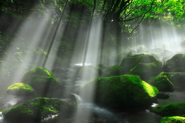 夏の元滝伏流水
