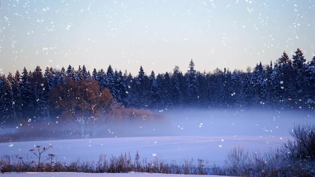 winter landscape with trees and snow fall on foggy morning