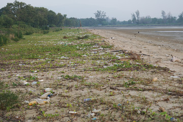 Lok Kawi, Kota Kinabalu, Sabah, Malaysia - September 08, 2019: There is a lot of rubbish left in Lok Kawi Beach. This rubbish are dumped into the sea and washed away to this beach.