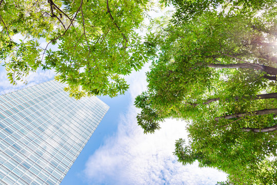 青空と木々とオフィスビル。日本の風景。ビジネスイメージ。
