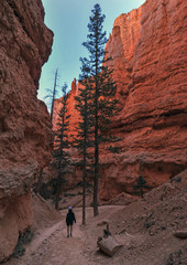 Hiking Bryce Canyon