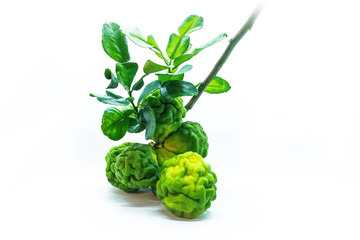 bergamot fruit with leaf isolated on white background.