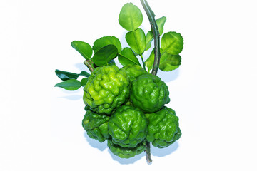 Fototapeta premium bergamot fruit with leaf isolated on white background.