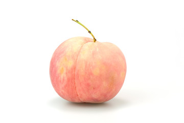 ๋๋Japan White Peach isolate on White Background.