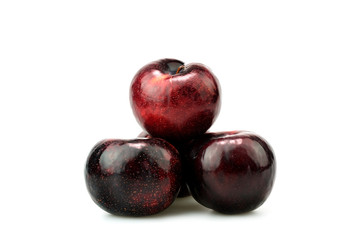 plum on a white background