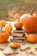 Autumn books. Halloween books. Stack of books with black cover and orange pumpkins set on a wooden table on a blurry background in  sunshine.Cozy autumn mood. 