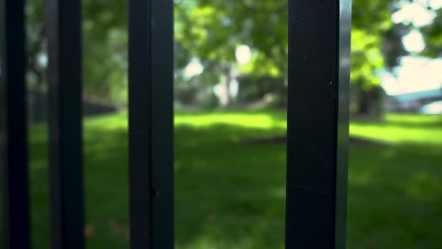 Looking through a metal fence at a lush lawn. Focus on fence, background out of focus. Clip is 30 seconds in length, shot in 4k at 24 frames per second. Footage is colo