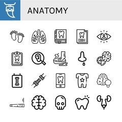 Fototapeta premium Set of anatomy icons such as Tooth, Feet, Lungs, Dental record, Visibility, Ear, Foot, Nose bleeding, Brain, X ray, Joint, Body, Skull, Urinary tract , anatomy